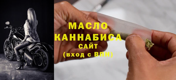 индика Магас