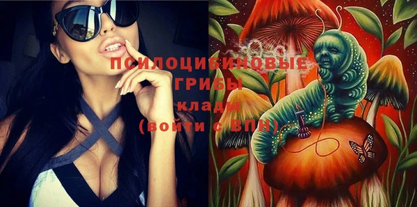 винт Лиски