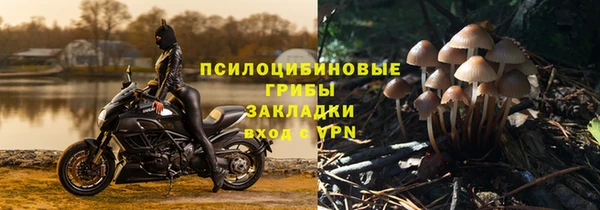 винт Лиски