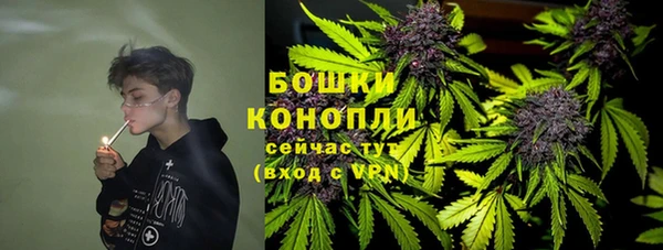 каннабис Дубна