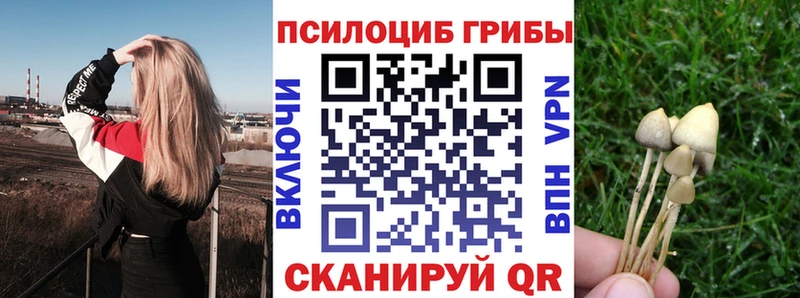 Псилоцибиновые грибы Psilocybe  закладка  Лебедянь 