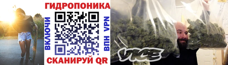 Каннабис индика Лебедянь